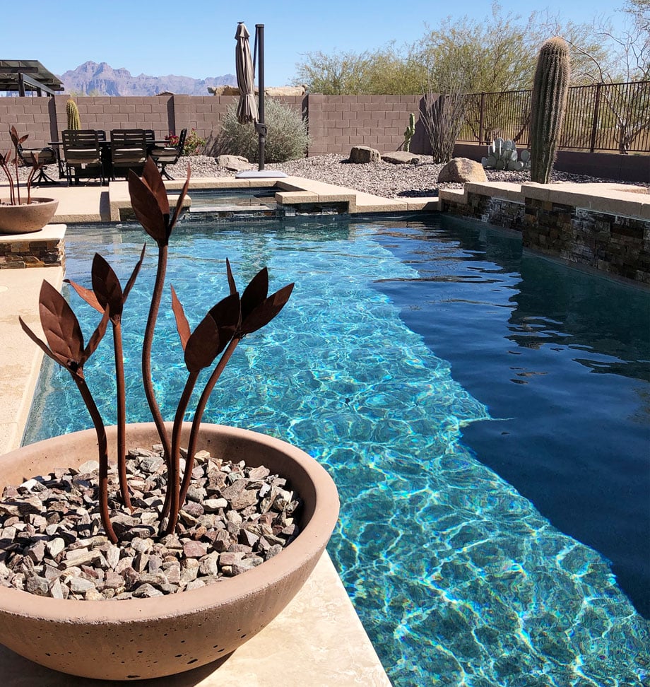 a plant in a pool of water